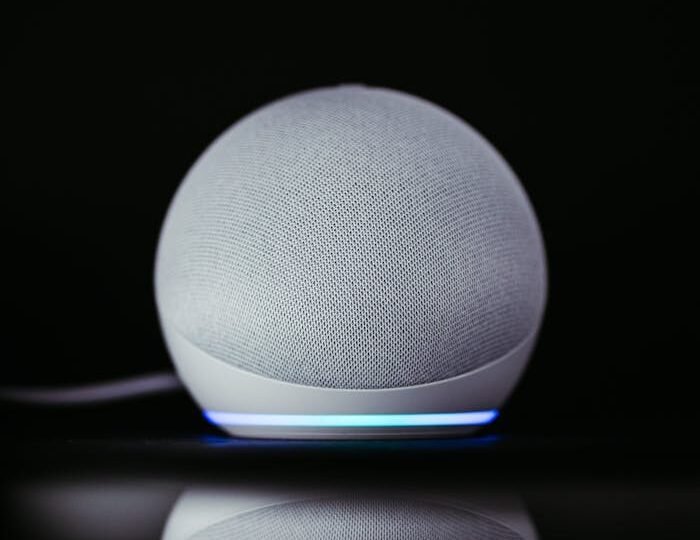 Best smart home device for 2024